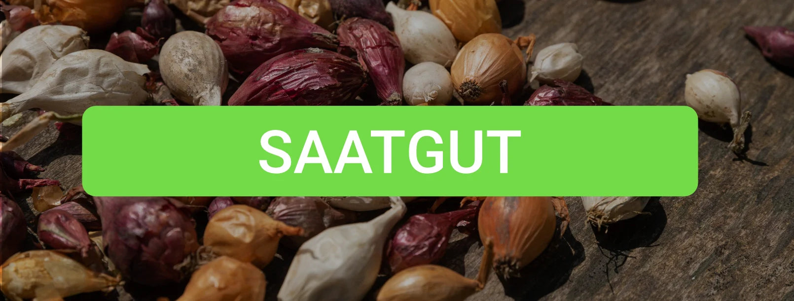 Saatgut fr Selbstversorger & Gartenfreunde | Bodenstndig