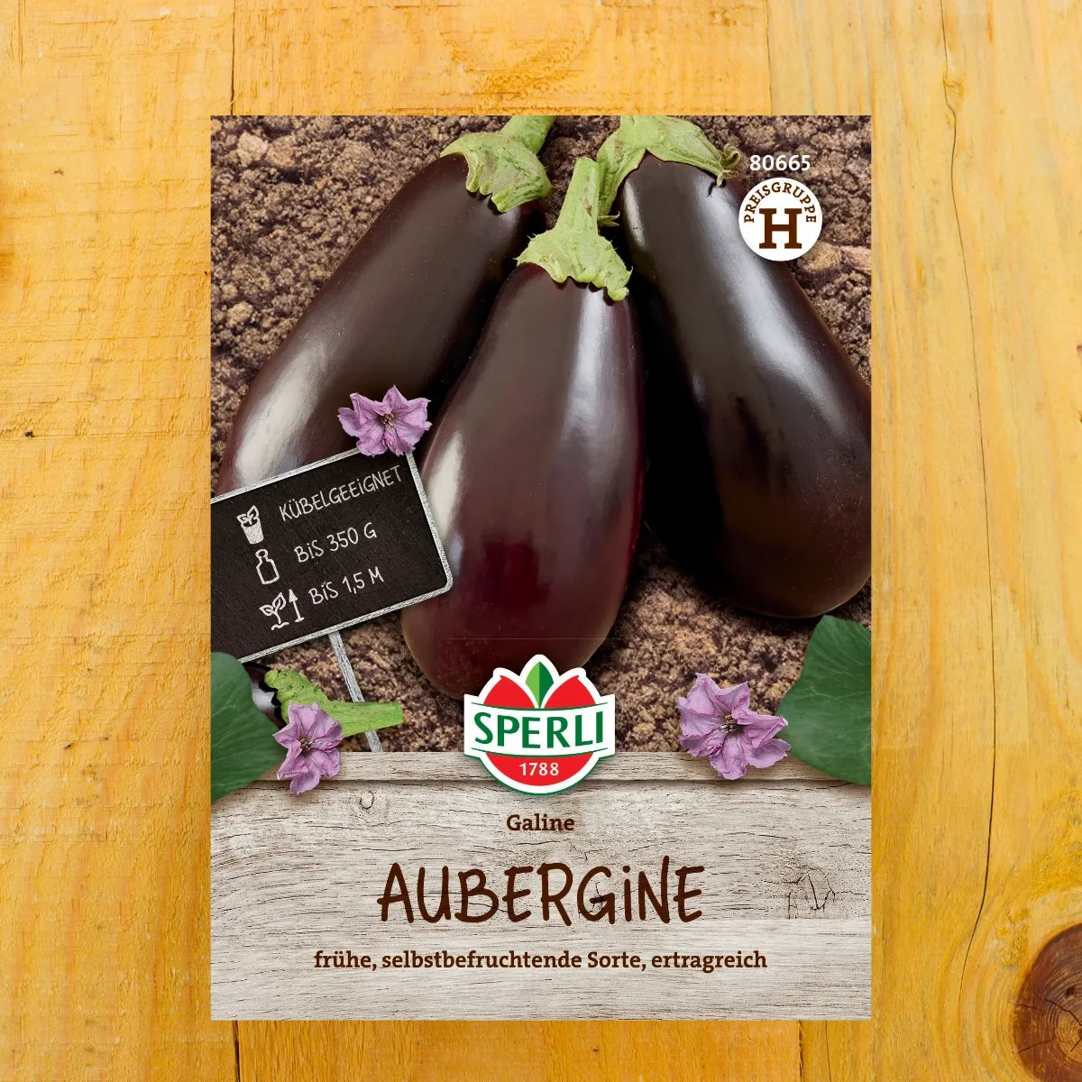 Aubergine Galine, F1