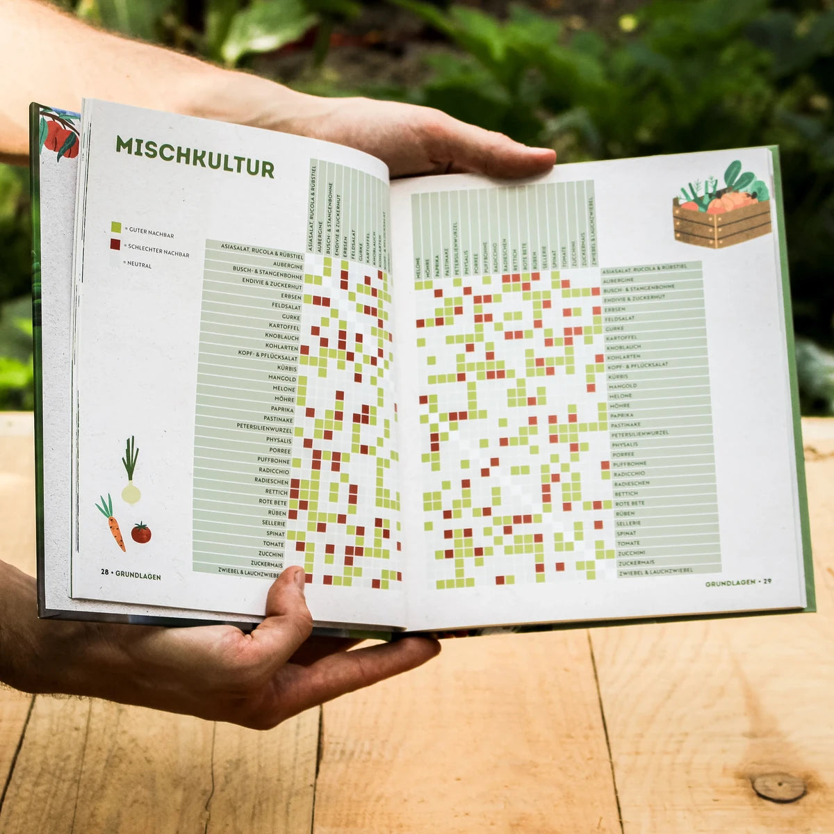 Ernte mehr als du denkst| Buch von Niko Becker