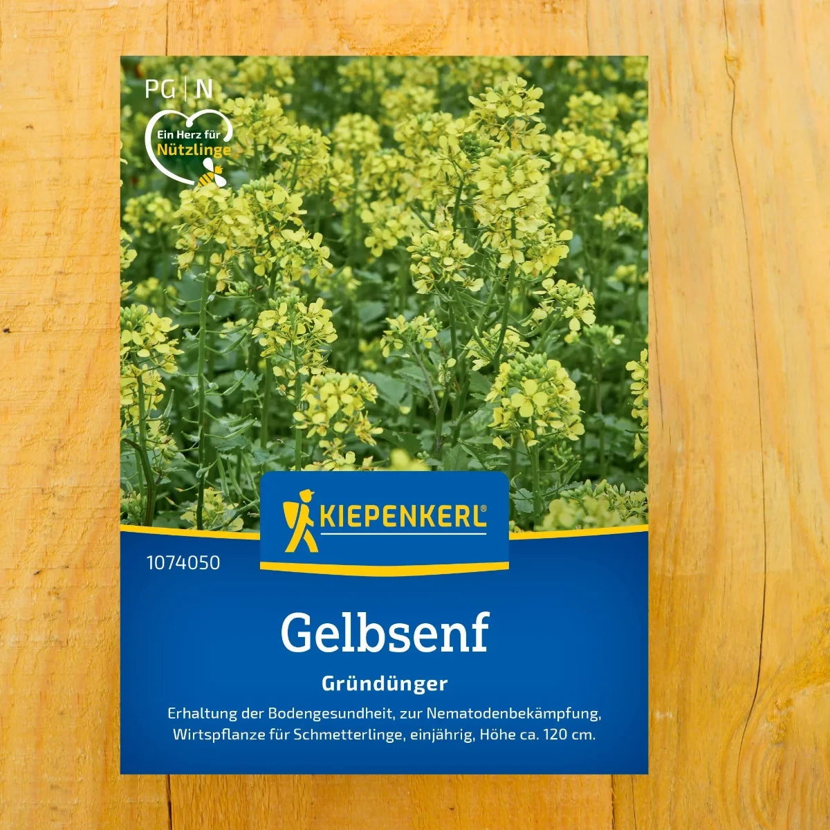 Gelbsenf Weißsamiger Senf