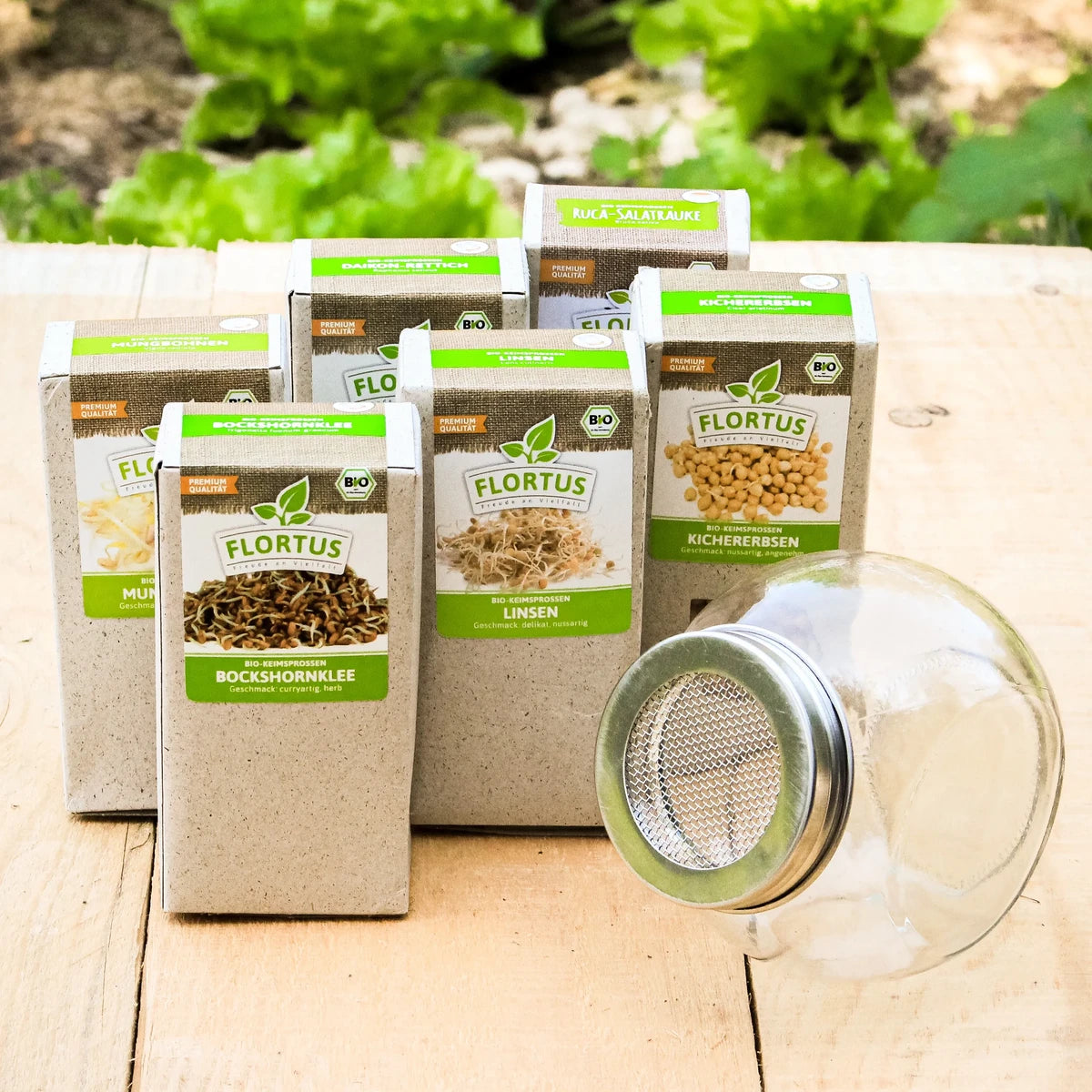 Keimsprossen Set "Hülsenfrüchte" mit 5 Sorten (1,2 kg)