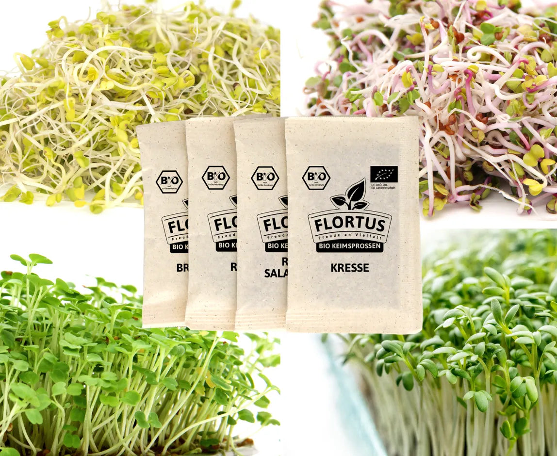 Keimsprossenset Gesund – 4 Sorten