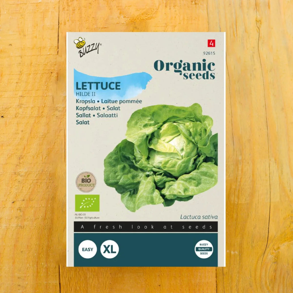 Kopfsalat - Hilde II