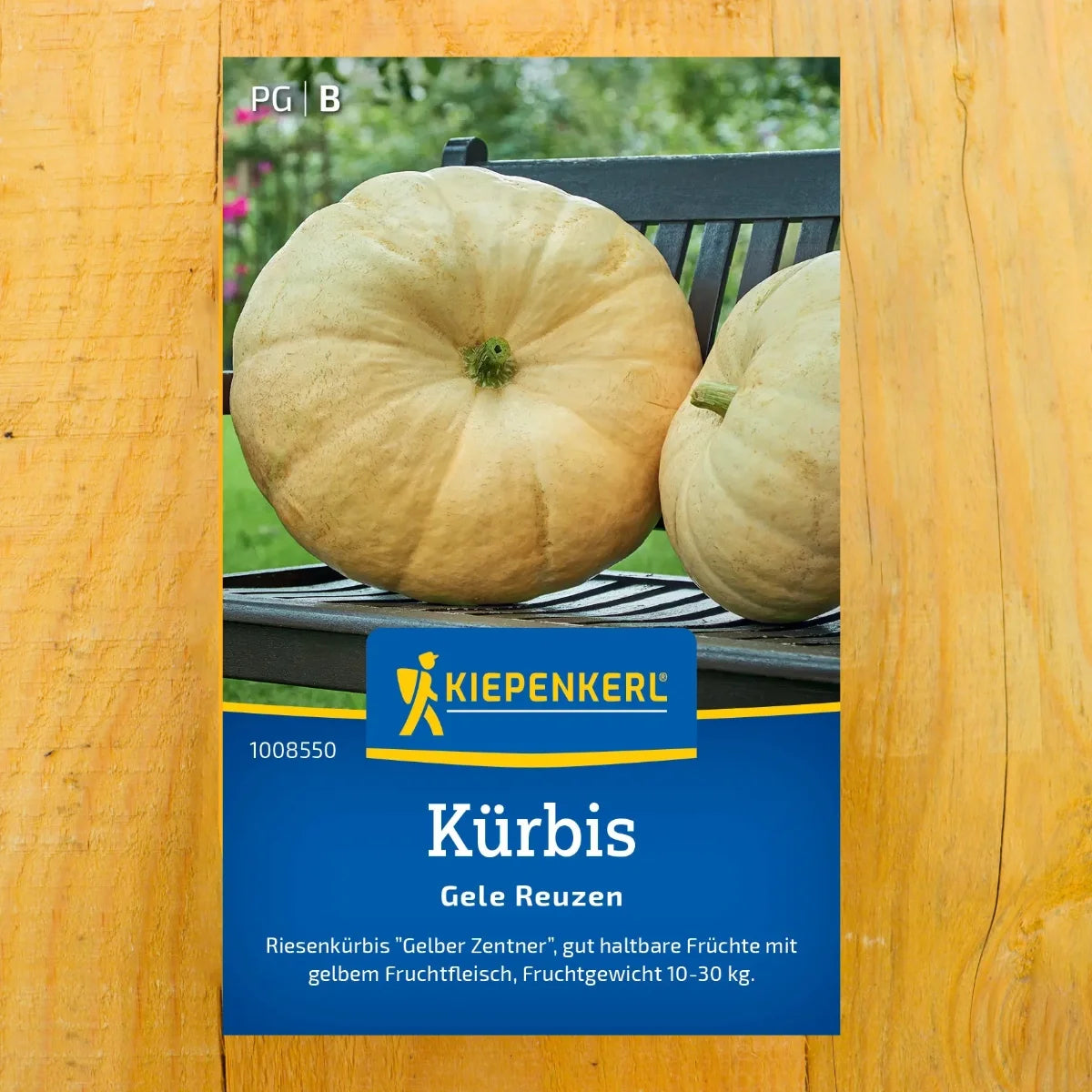 Kürbis Gele Reuzen / Gelber Zentner