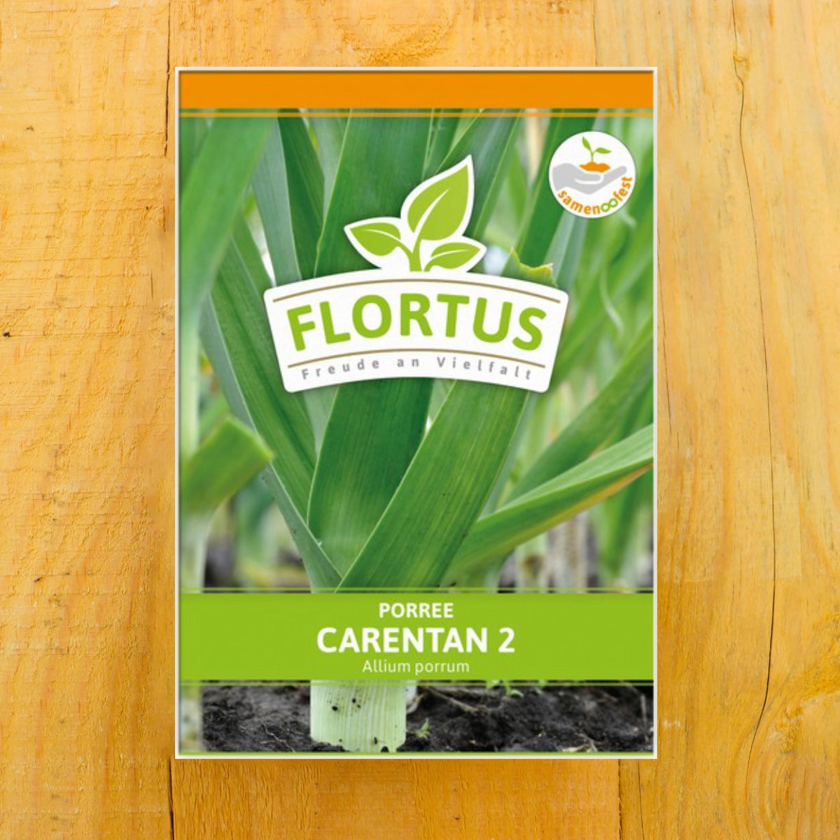 Lauch-Porree Carentan 2