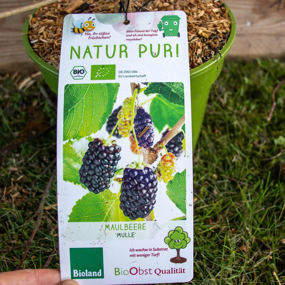 Maulbeere Mulle label