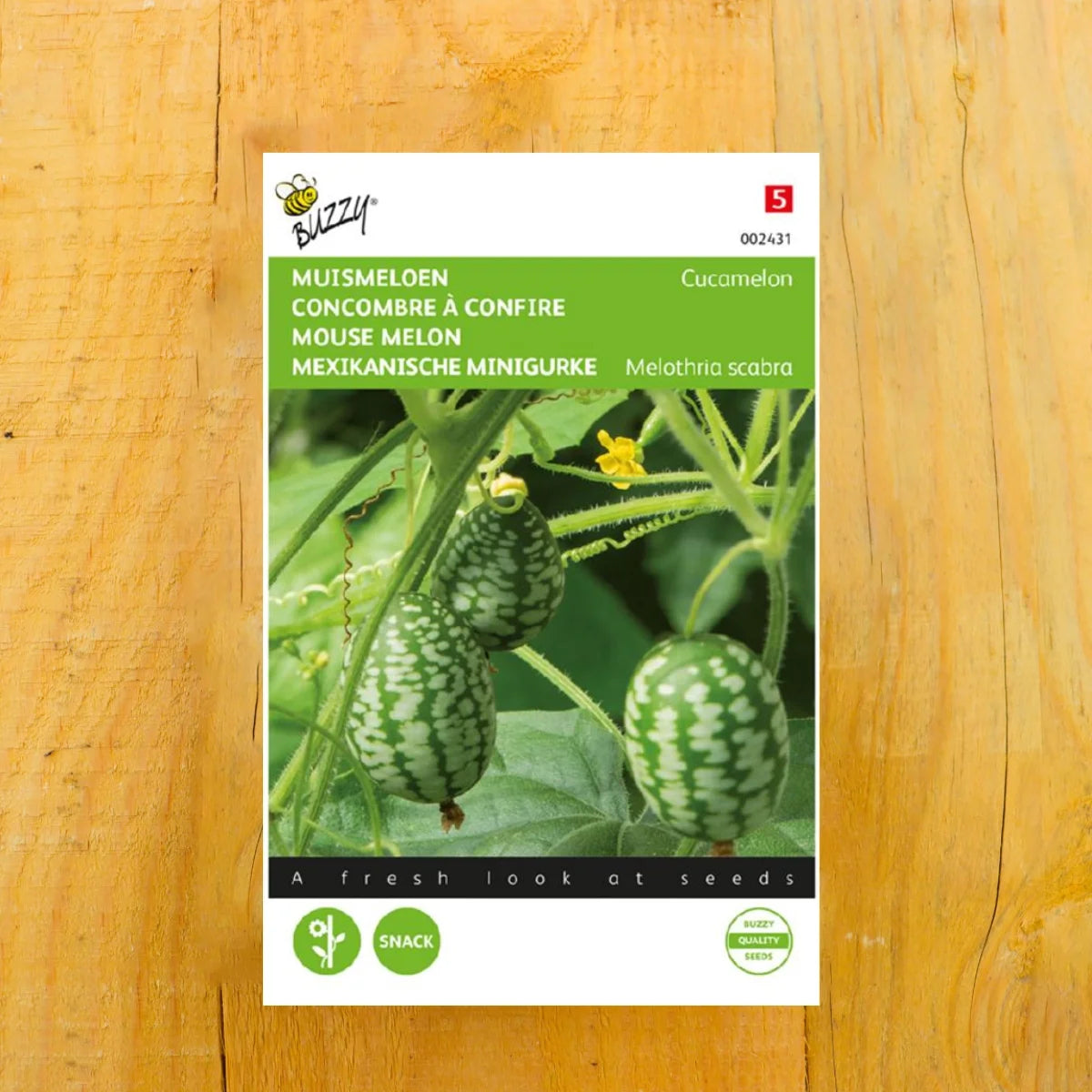 Mexikanische Minigurke