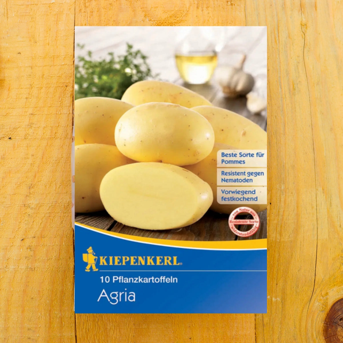 Pflanzkartoffel Glorietta, 10 Stück