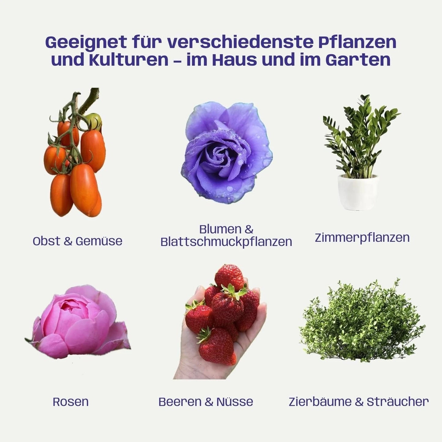 Bio Plant Health Kit