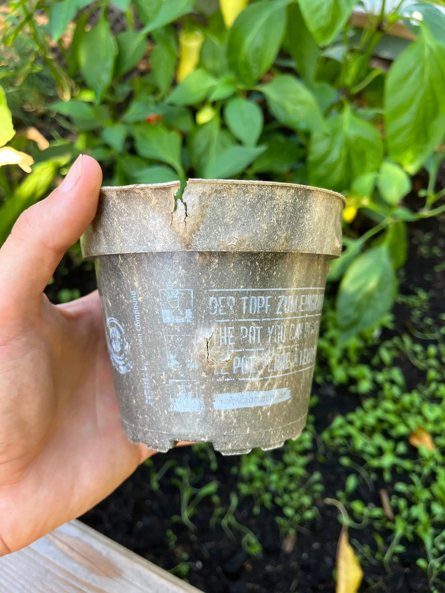 PottBurri Anzuchttöpfe biologisch abbaubar