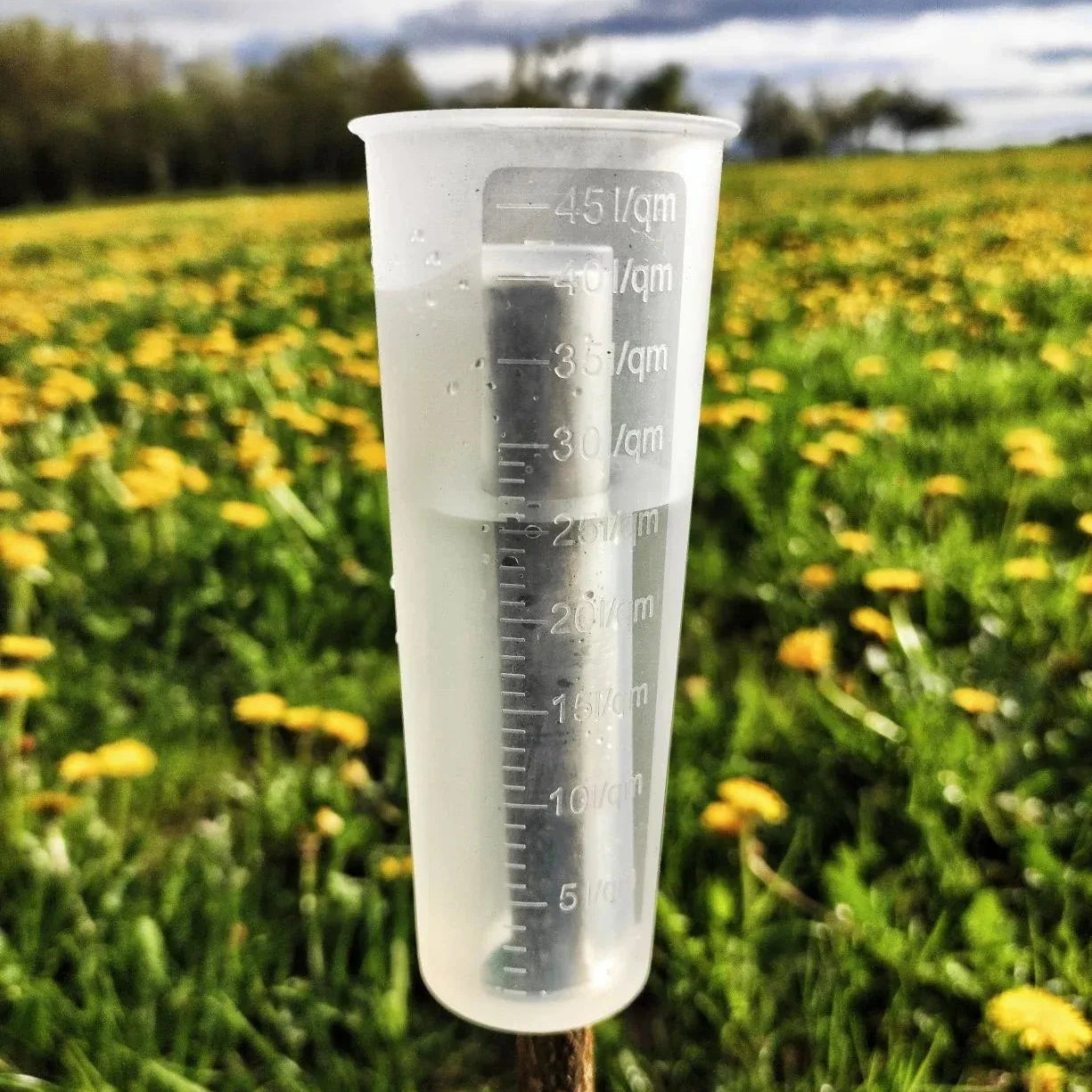 Regenmesser aus SIlikon