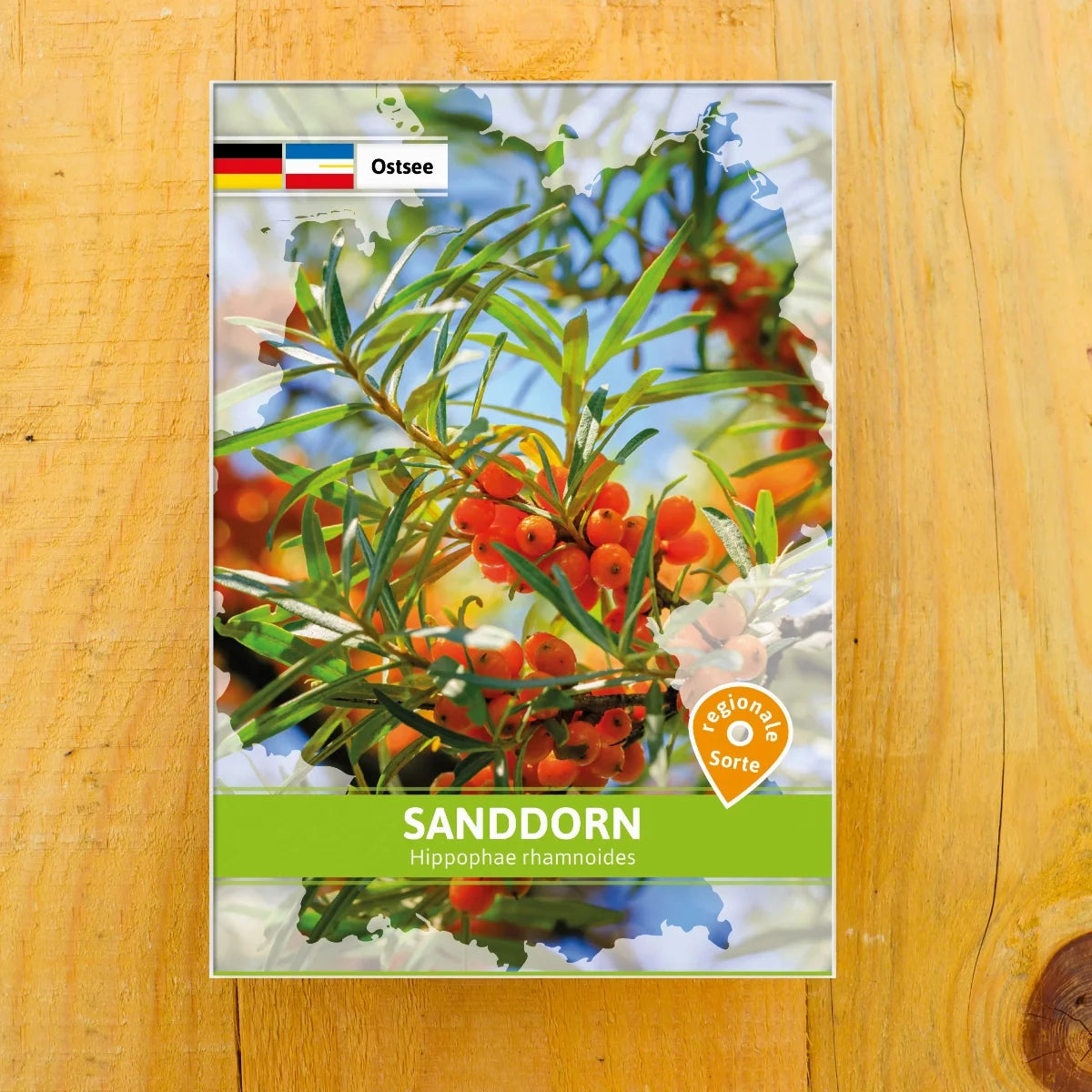 Sanddorn Regionale Sorte Ostsee