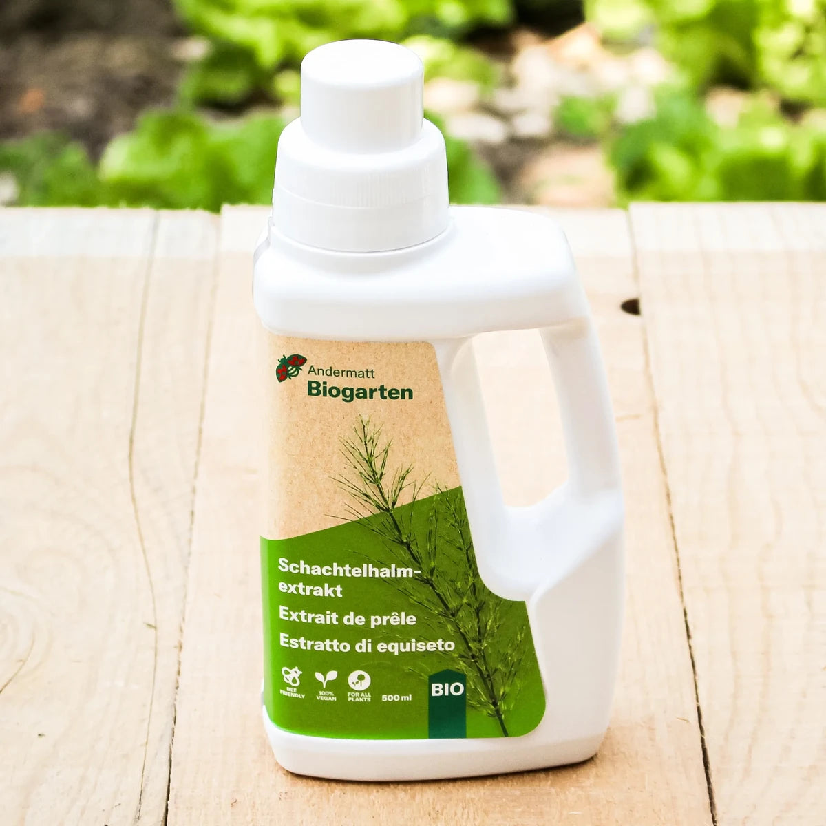 Schachtelhalmextrakt zur Pflanzenstärkung