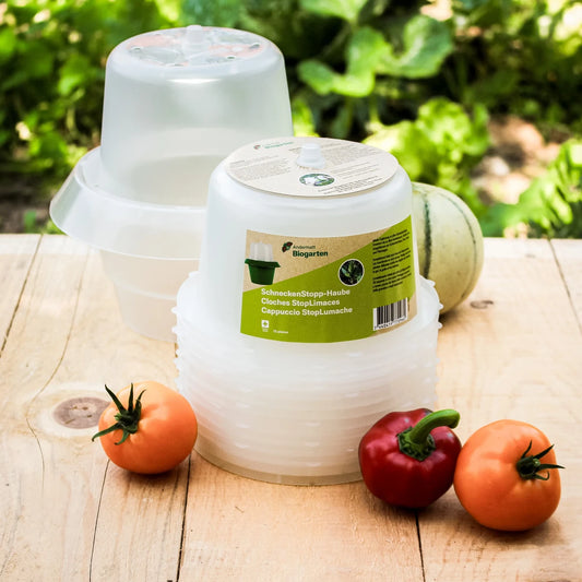 Schneckenkragen Wachstumshaube/ Gewächshaus 12er Set