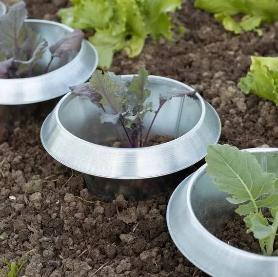 Schneckenstopp galvanisiert