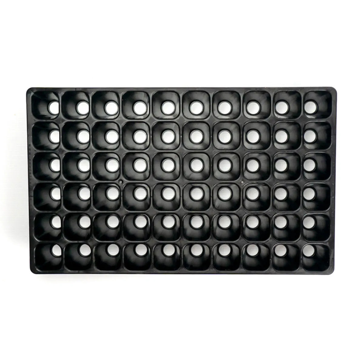 Stabile Aussaatplatte 60 Zellen von Charles Dowding