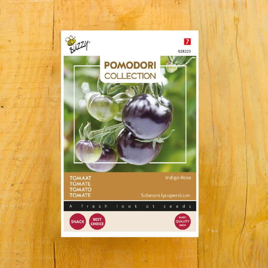 Tomate- Indigo Rose