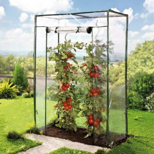 Tomatengewächshaus 100 x 150 x 50 cm