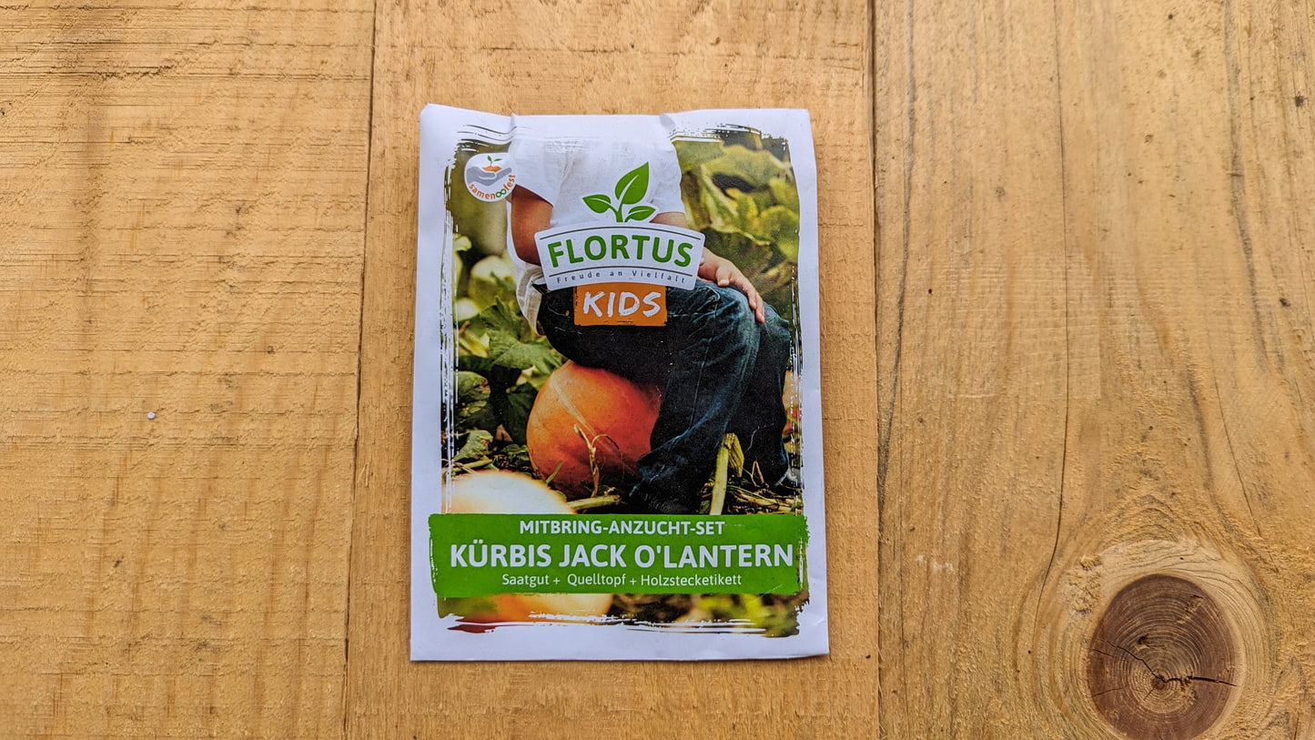 KIDS Mini Anzuchtset Kürbis Jack O'Lantern