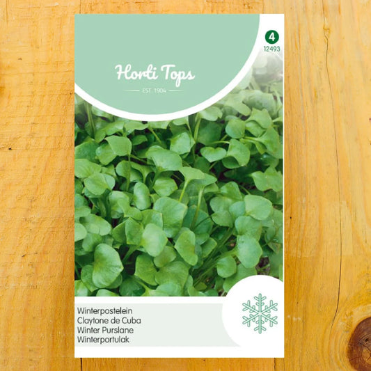 Winterportulak Postelein