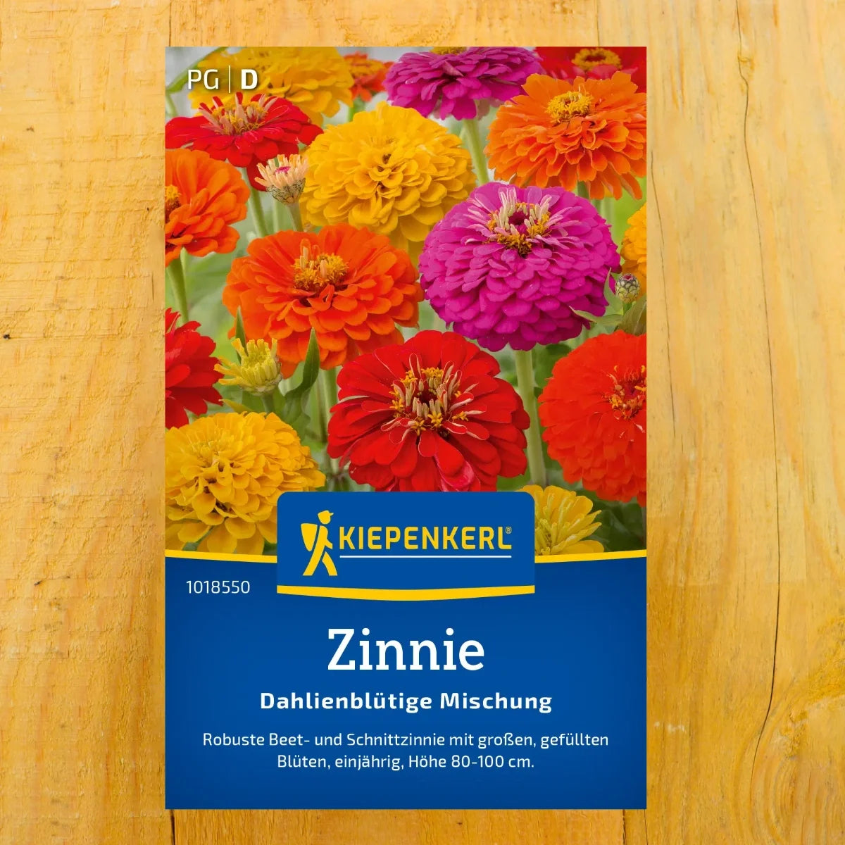 Zinnien Saatgut kaufen | Oklahoma Mix