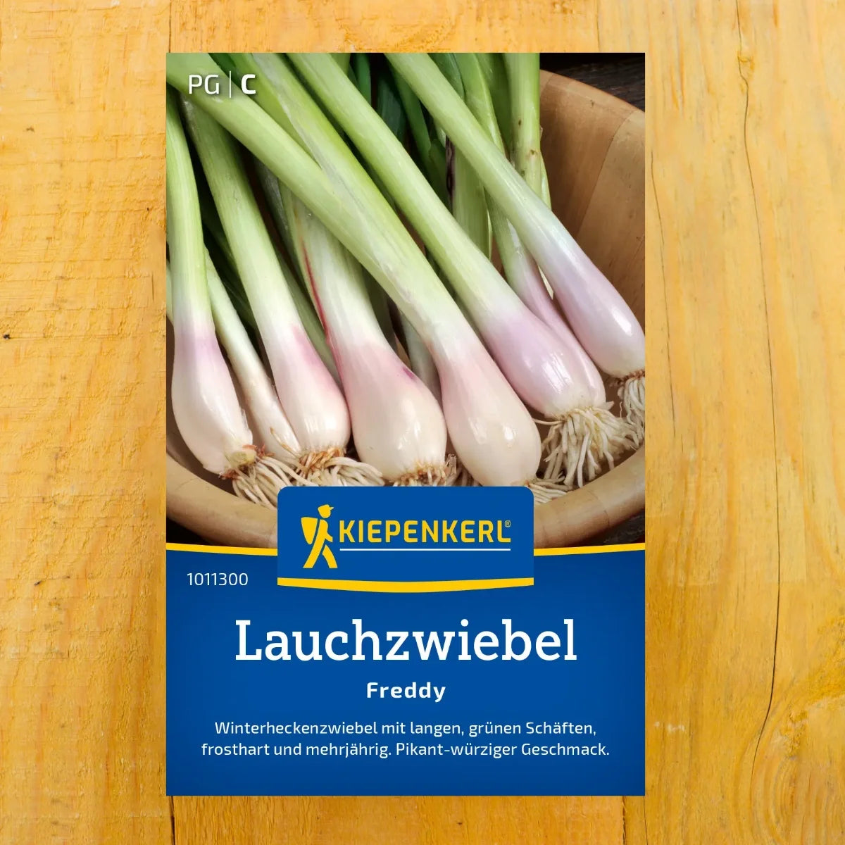 Zwiebel Freddy (Winterhecke)