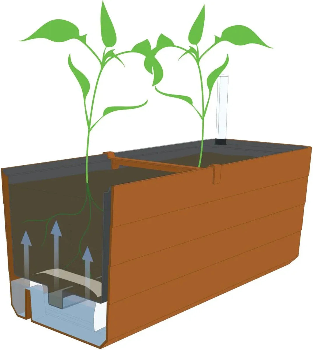 Bewässerungskasten Berberis