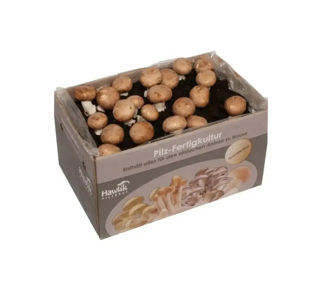 Pilzzucht Set