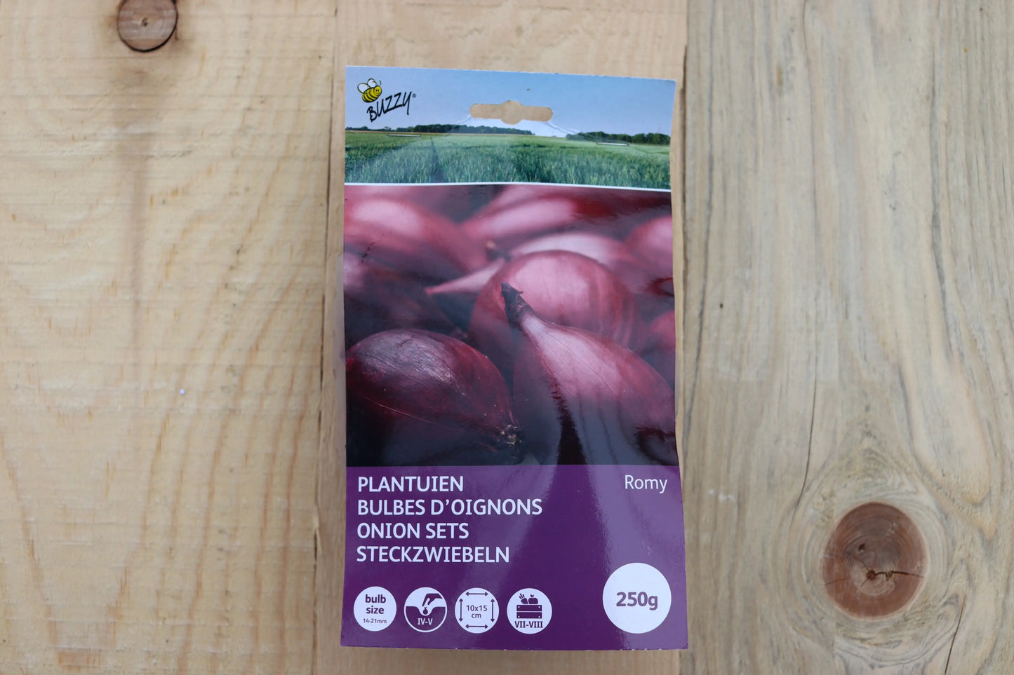 Rote Zwiebel Romy