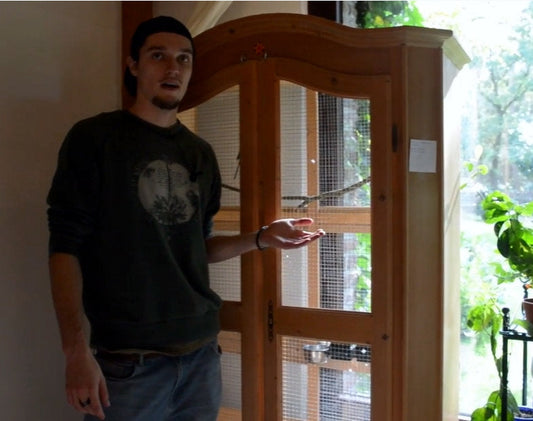 Vogelkäfig kostengünstig selber bauen