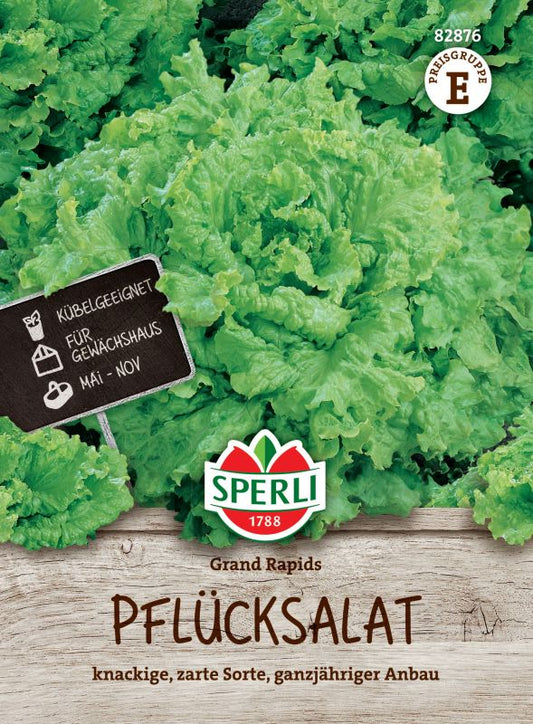 Pflücksalat Grand Rapids
