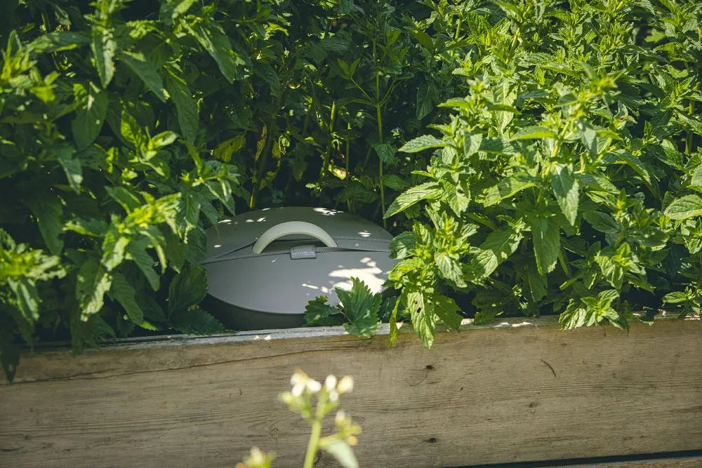 Wurmkomposter direkt im (Hoch) beet