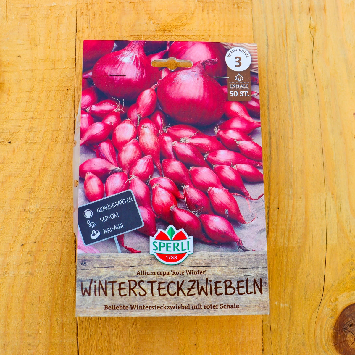 Wintersteckzwiebel Rote Winter