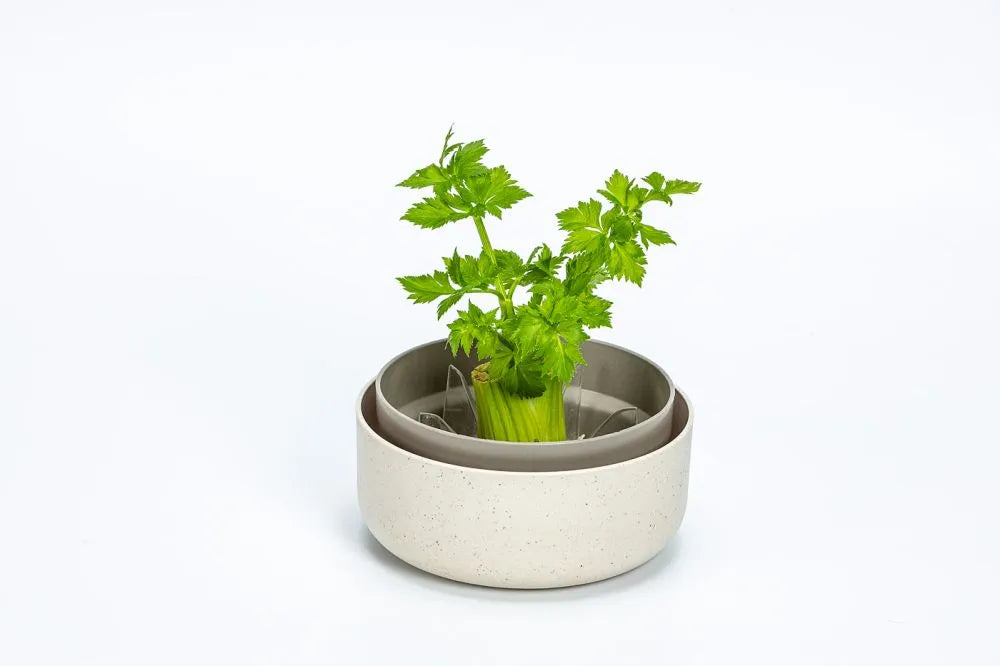 Variable Rippen für Regrow