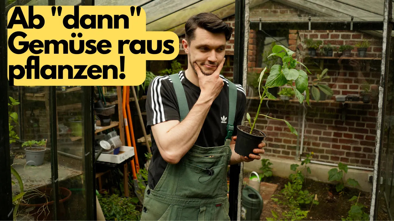 Video laden: Gemüsegarten im Mai 2022