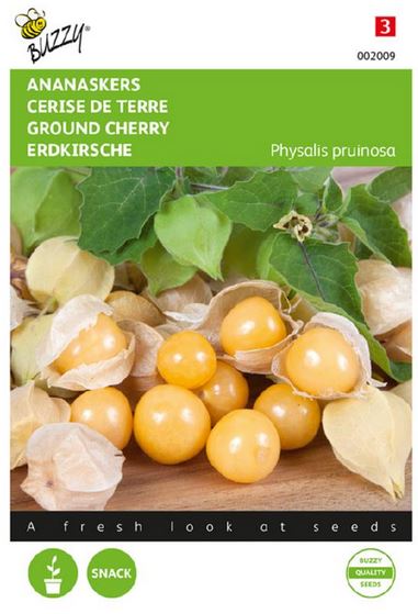 Andenbeere/Physalis