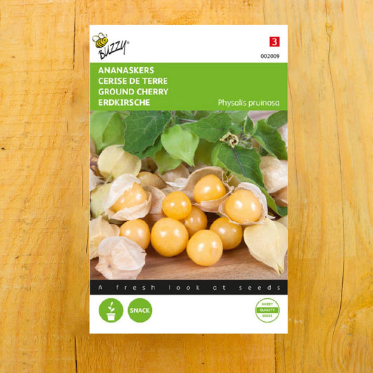 Andenbeere/Physalis