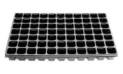 Anzuchtplatte QuickPot QP 77 Platte 33,5x51,5 (38x40x48)