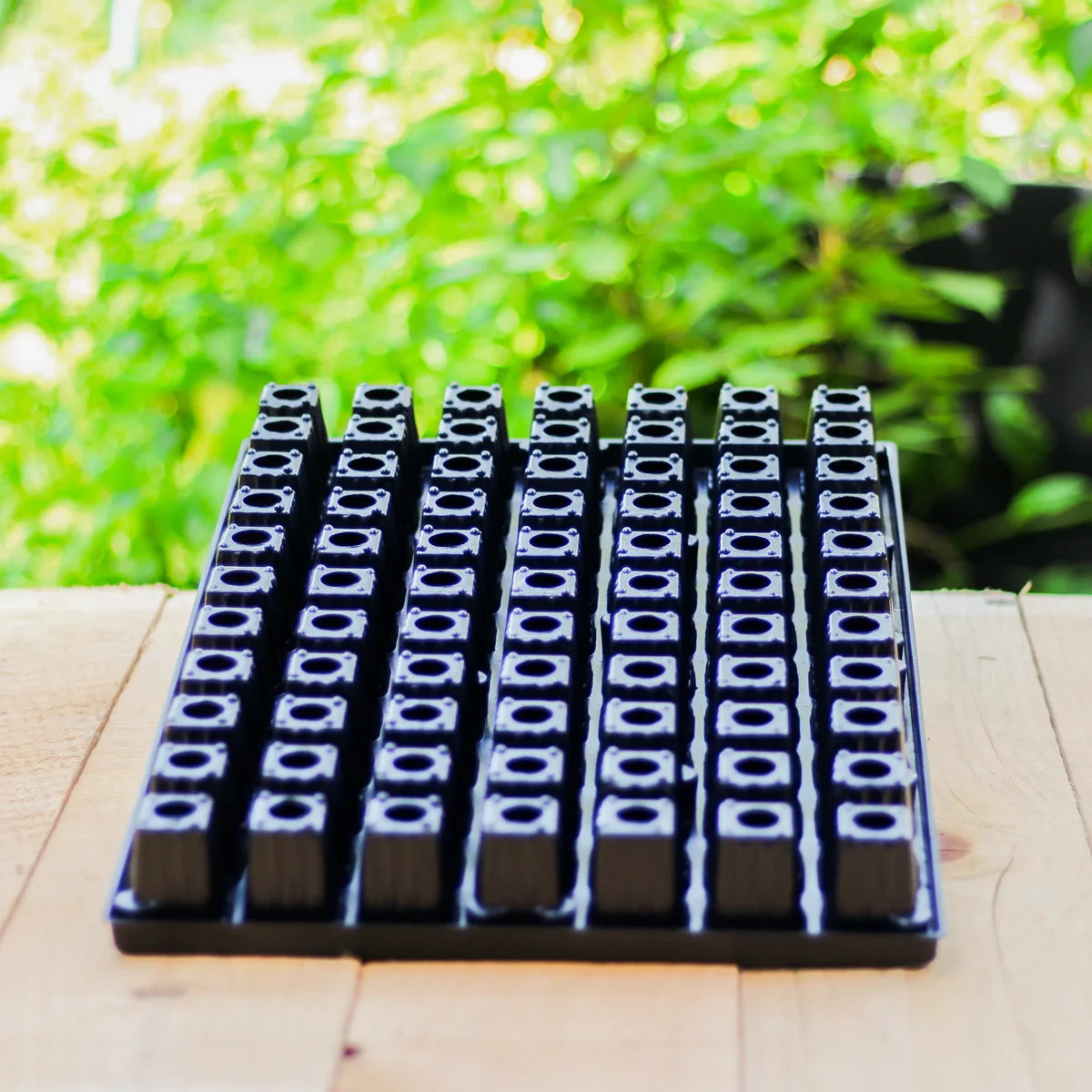 Anzuchtplatte QuickPot QP 77 Platte