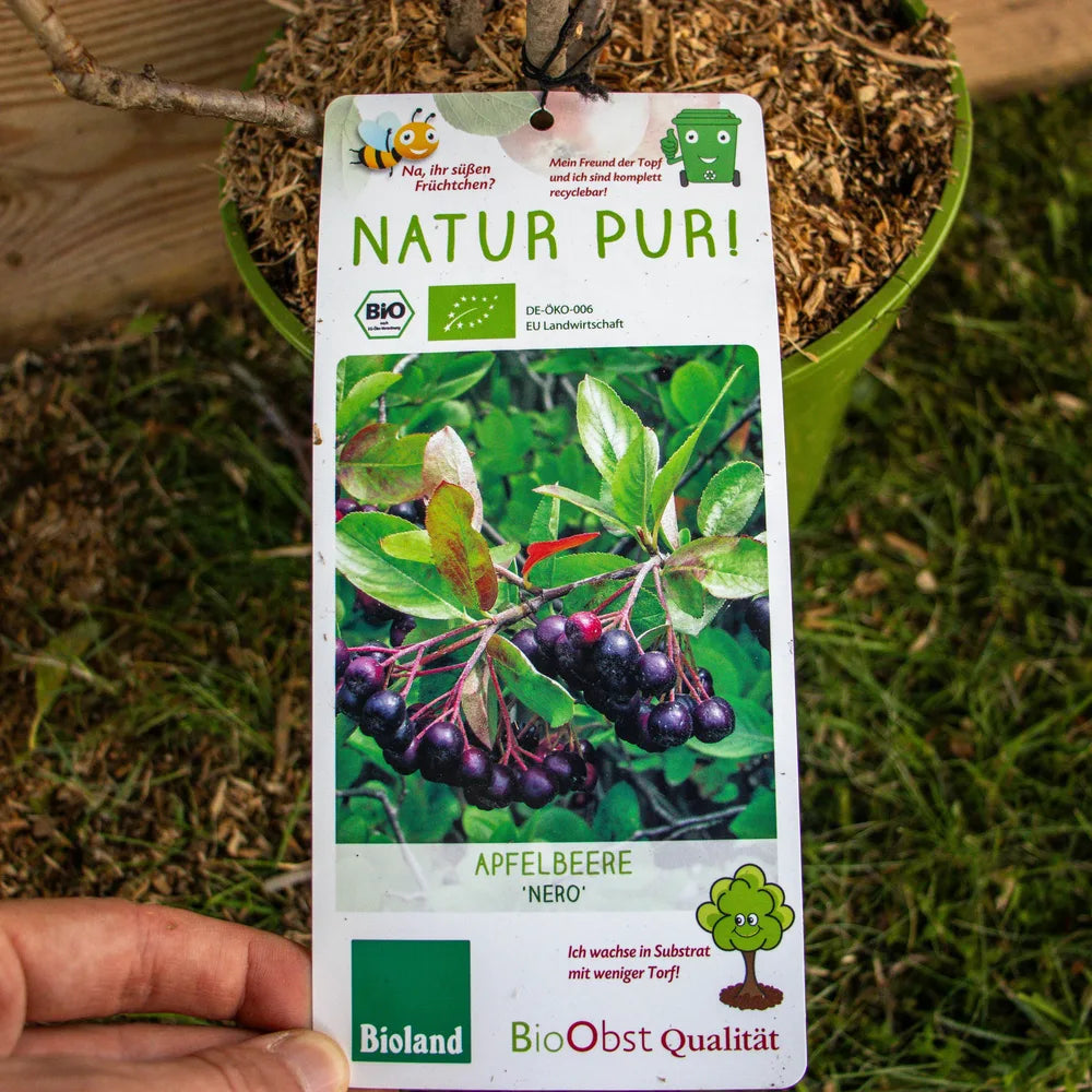 Aronia_Busch_Nero_label