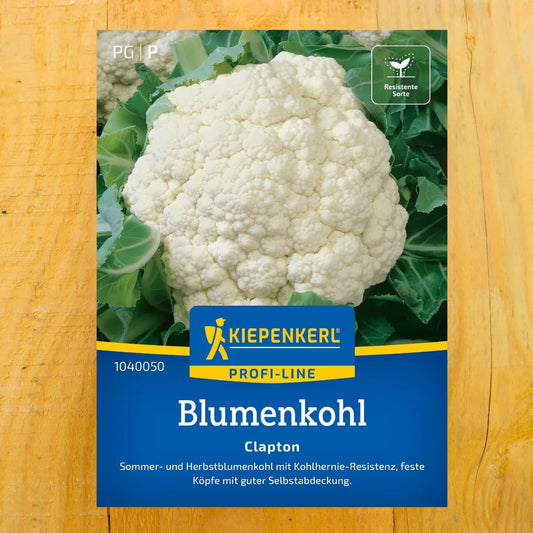 Blumenkohl 'Clapton'