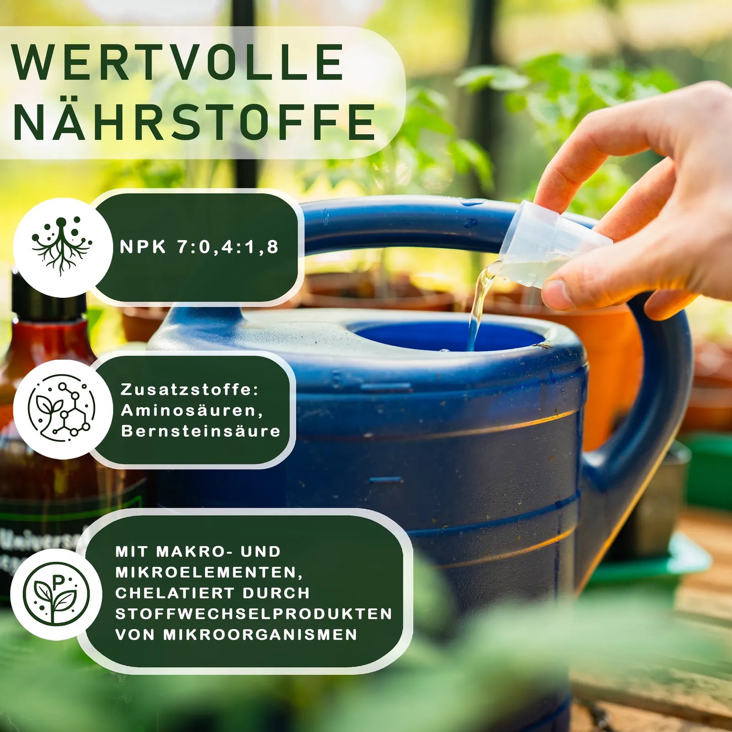 BodenstaendigBeereundObstbaum_6
