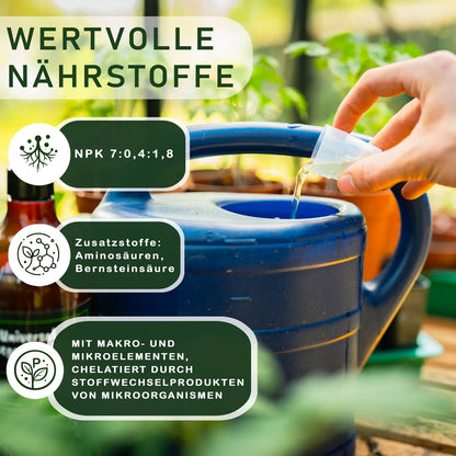 BodenstaendigBeereundObstbaum_6
