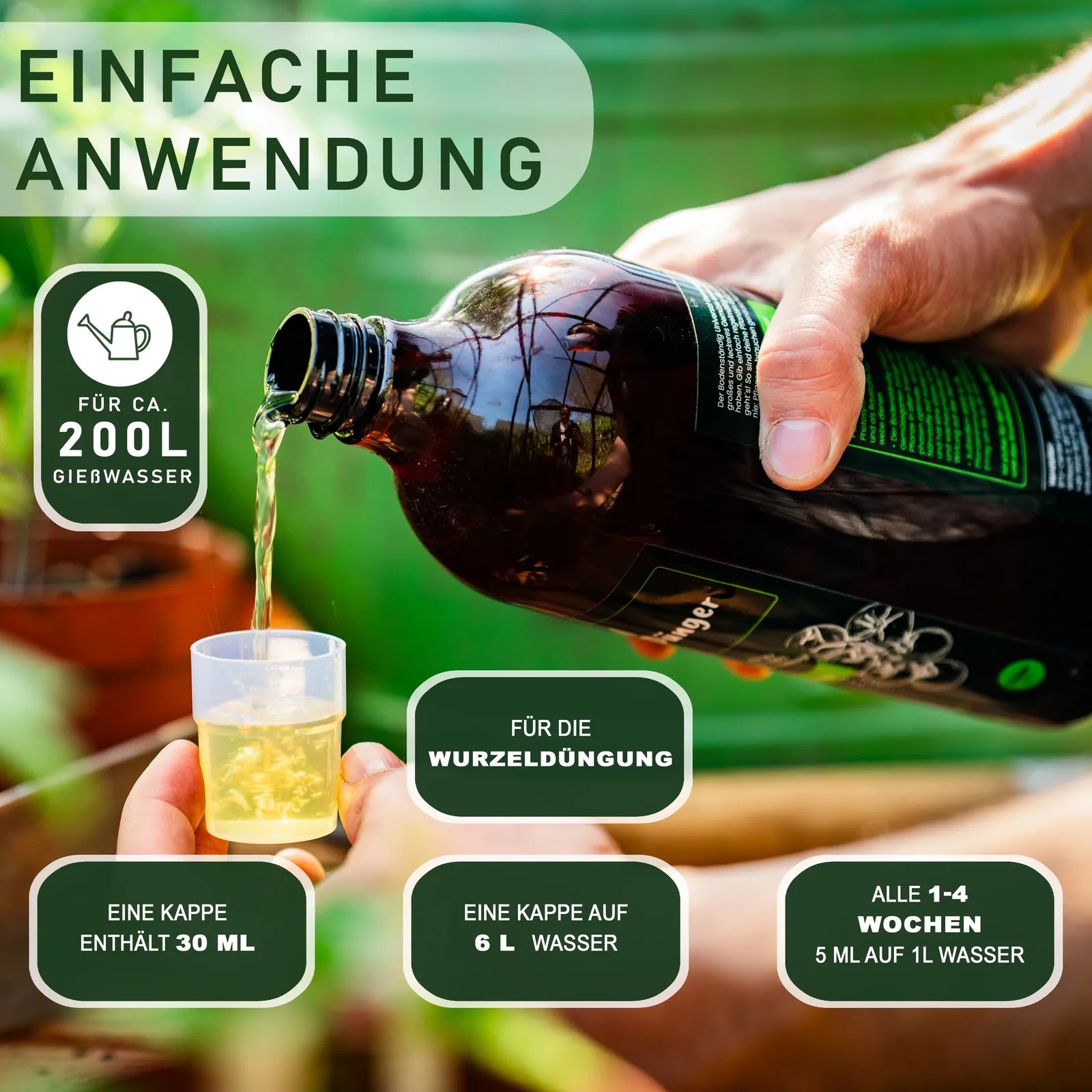BodenstaendigKraeuter_5