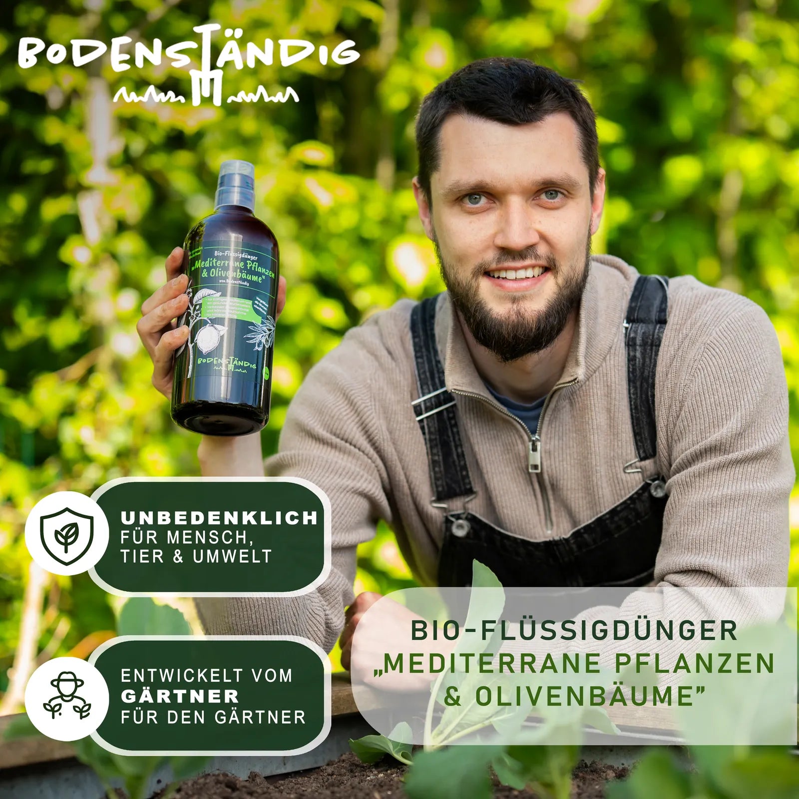 BodenstaendigMetiterranePflanzenundOlivenbaeume_7