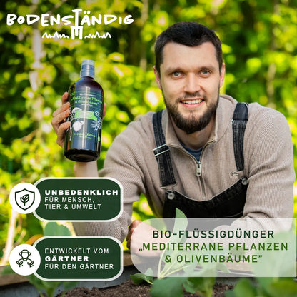 BodenstaendigMetiterranePflanzenundOlivenbaeume_7