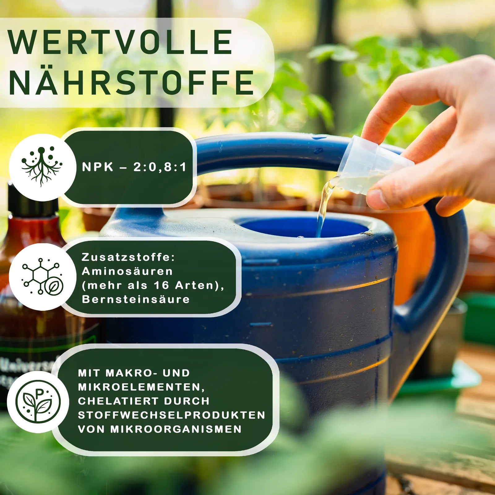 BodenstaendigZimmerpflanzen_6