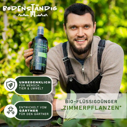 BodenstaendigZimmerpflanzen_7