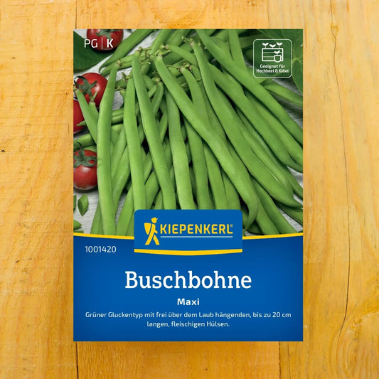 Buschbohne Maxi