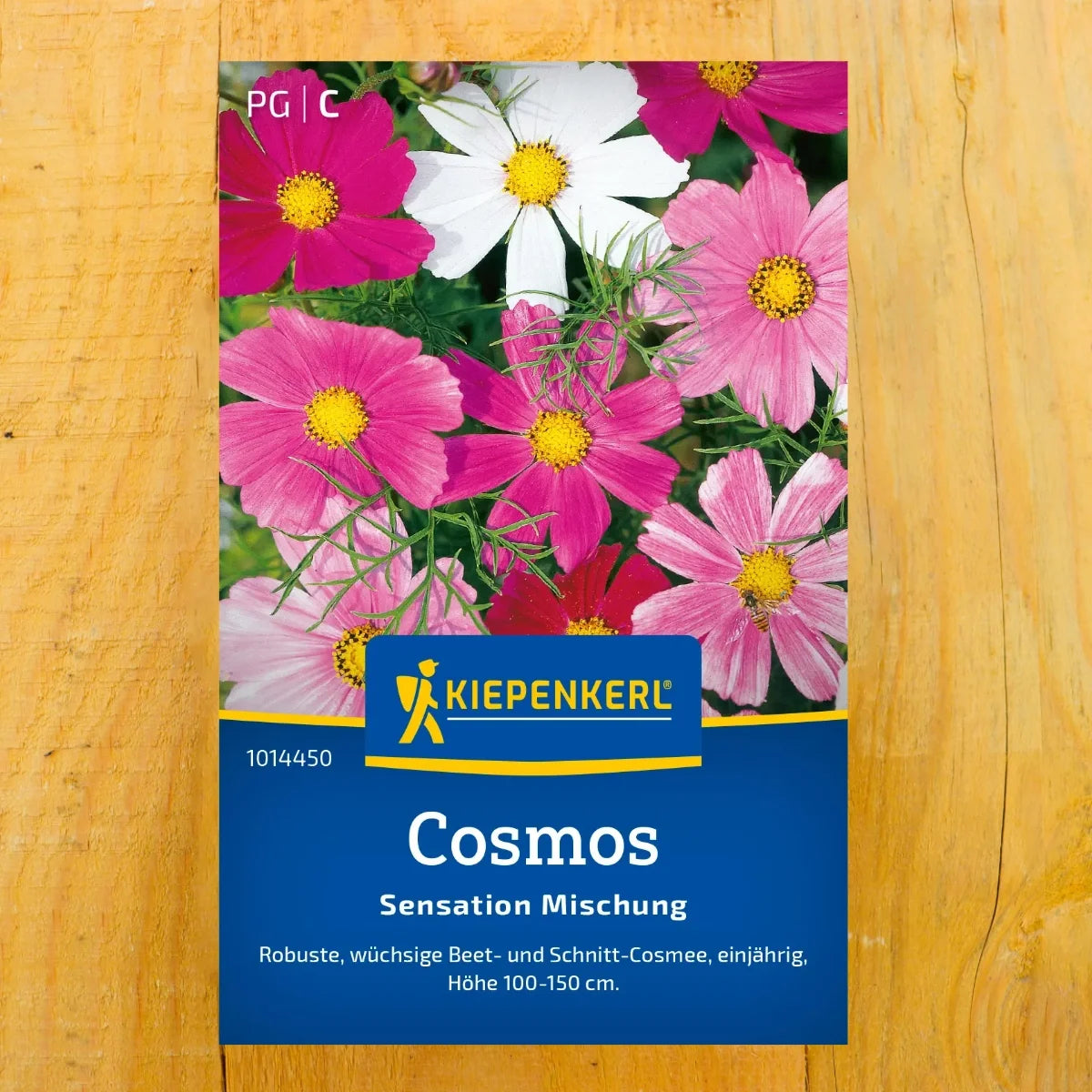 Cosmos Sensation Mischung